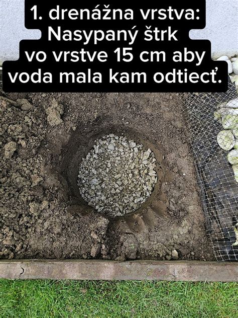 Návod na správnu výsadbu krušpánu, vrátane prípravy pôdy a vzdialenosti.