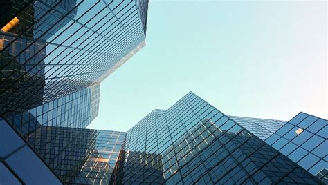 Infografika: Správny postup namáčania orchidey pri polievaní