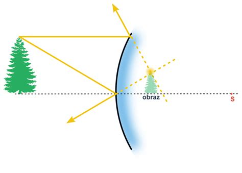 Schéma krušiny jelšovej: zobrazenie kríka, tvaru listov a detail kôry s charakteristickými svetlými škvrnami
