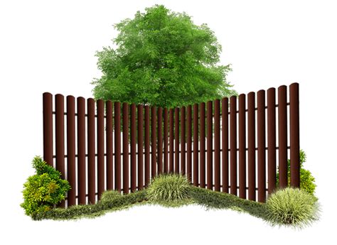 Schéma výsadby živého plotu z hrabu