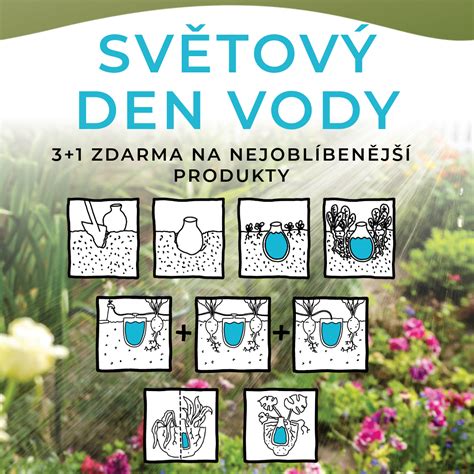 Schéma rastu mäty: od podzemku a štvorhrannej stonky až po kvitnúce vrcholky s detailom listov.