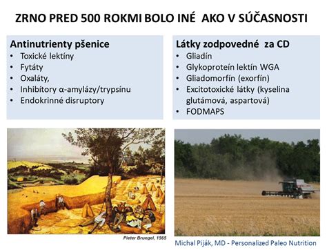 Diagram aktívneho a pasívneho transportu živín cez črevnú stenu