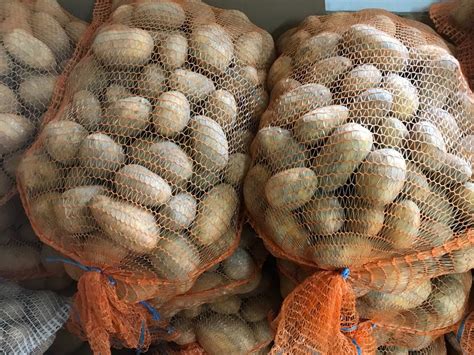 Fotografia sadbových zemiakov v 25kg vreciach