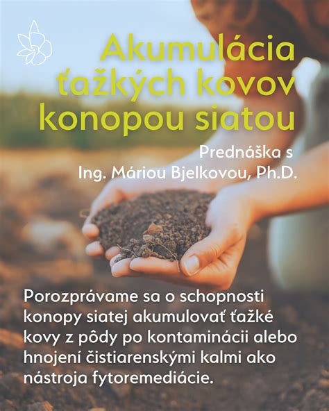 Pole s rozrastenou konopou siatou