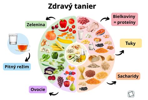 infografika znázorňujúca vyvážený tanier dojčiacej matky (bielkoviny, celozrnné produkty, ovocie, zelenina, dostatok vody)