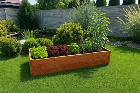 Ukážka rôznych rastlín vysadených vo vyvýšených záhonoch (jahody, bylinky, kvety)