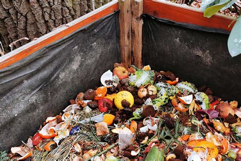 Ilustrácia rôznych druhov kompostu a ich využitia v záhrade