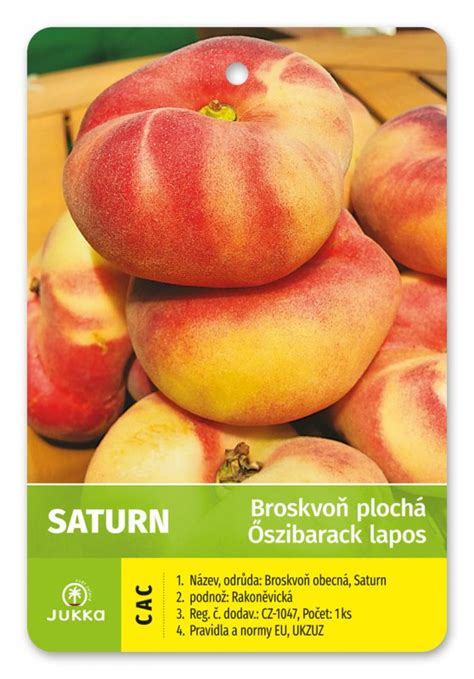 Plochá broskyňa Saturn s červeným líčkom a krémovo bielou dužinou, s mandľovou arómou