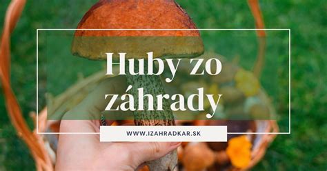 infografika: druhy húb a vhodné substráty pre pestovanie