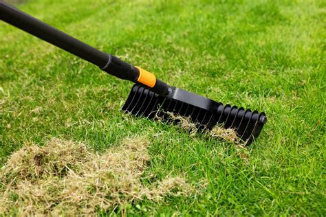 Detailný pohľad na akumulátorovú kosačku STIHL v akcii na upravenom trávniku