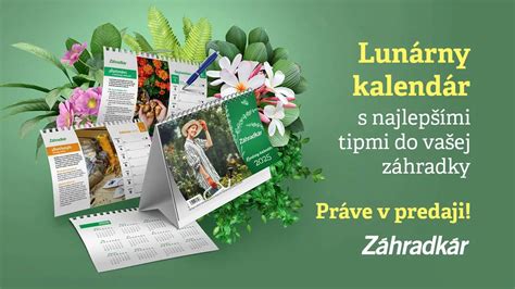 Kalendár sezónnej výsadby na hrobe s tipmi na údržbu.