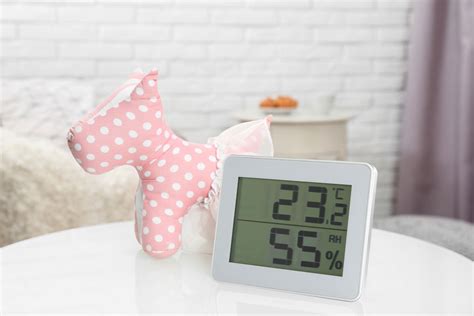 Infografika zobrazujúca ideálnu teplotu a svetelné podmienky pre azalku v interiéri a exteriéri