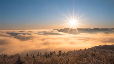 Schéma ideálneho stanovišťa pre ruže so zameraním na slnečný svit a odvodnenie pôdy
