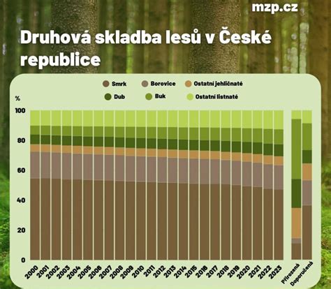 vizualizácia hustého, mnohovrstvového lesa vypestovaného podľa Miyawakiho metódy