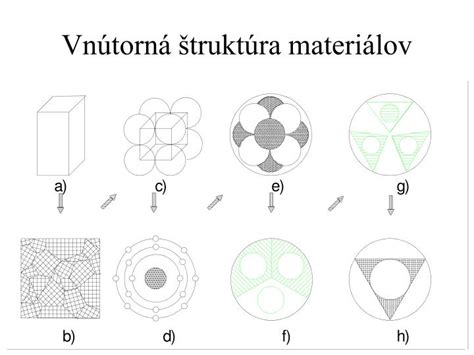 Schéma porovnania cibule a šalotky: vonkajší vzhľad, vnútorná štruktúra (strúčiky) a chuťový profil.