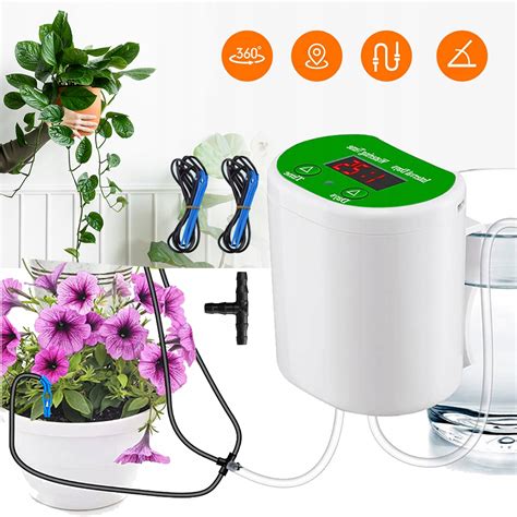 Tematická fotografia zdravej, zavlažovanej rastliny s kvapkovou hadicou