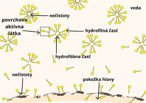 infografika: základné zložky substrátov s popismi