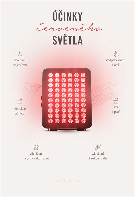 Infografika: požiadavky oleandra na svetlo a teplotu