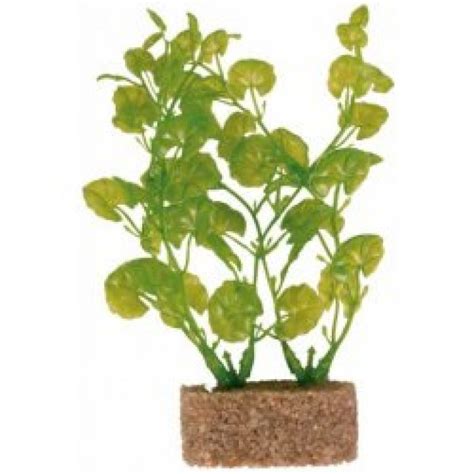 Vizualizácia skladby dna akvária s podkladovým a vrchným substrátom