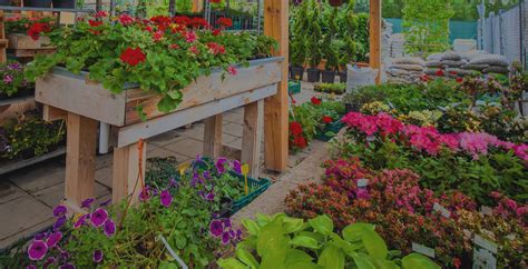 Ukážka sortimentu záhradníckeho centra - kvetináče, náradie, rastliny