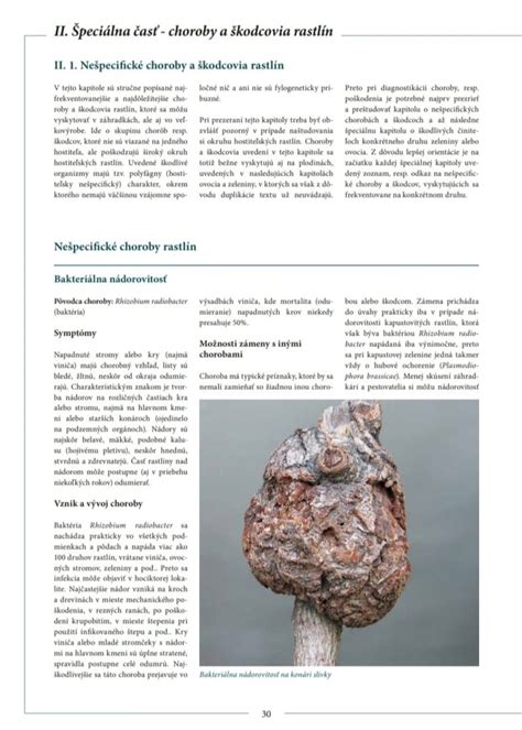 infografika s príkladmi chorôb a škodcov netýkavky