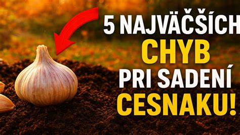 Schéma správnej hĺbky a rozostupov pri sadení cesnaku.
