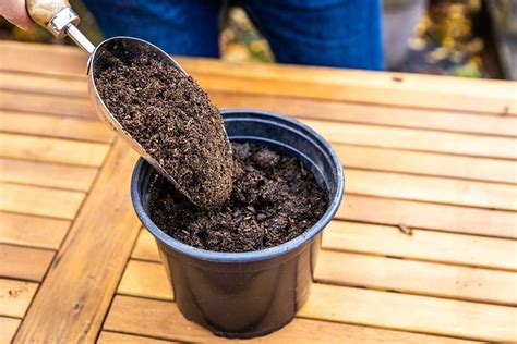 Nádoba so substrátom pri tepelnej úprave