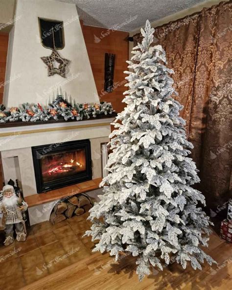 Ilustrácia: Stromček s oporným kolom a správnym viazaním