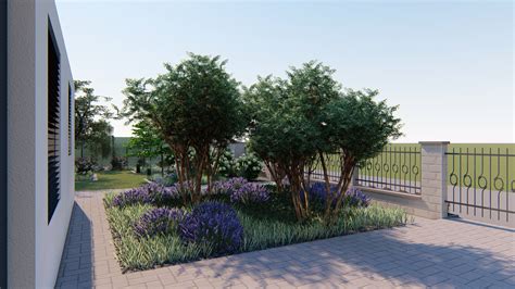 Foto tují v betónových kvetináčoch pred domom