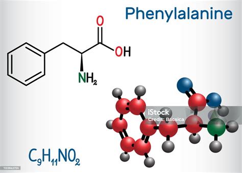 Infografika: Chemický vzorec paeonidinu a zloženie pivonky lekárskej