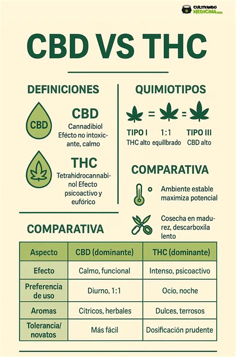 Infografika: Rozdiely a účinky THC vs. CBD