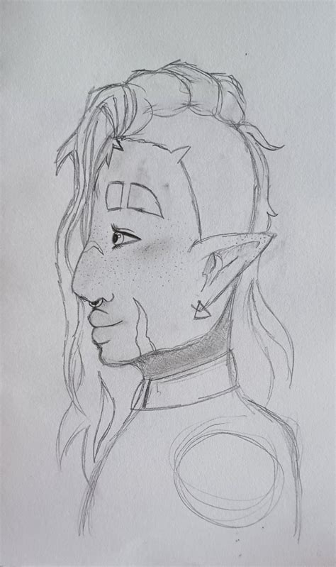 Ilustrácia rôznych druhov floxov, vrátane floxu šidlolistého a floxu Drummondovho