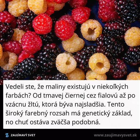 Koláž rôznofarebných odrôd malín (červené, žlté, čierne)