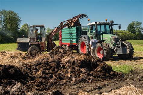 Infografika znázorňujúca výhody použitia maštaľného hnoja pre pôdu a rastliny