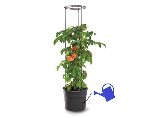 Vizualizácia kvetináča TOMATO GROWER s podporným systémom