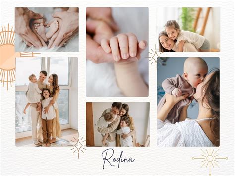 Koláž fotografií rôznych odporúčaných trvaliek na slnko