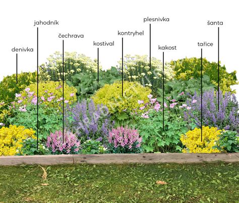 záhon s vresmi a ďalšími kyslomilnými rastlinami v plnom kvete