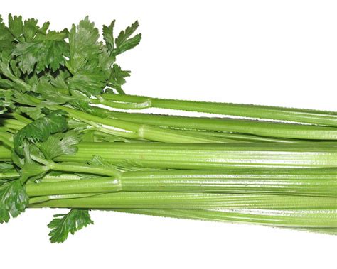 Detailné zobrazenie odstraňovania vlákien zo stonky zeleru