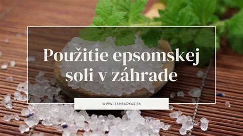Infografika: Spôsoby aplikácie Epsomskej soli v záhrade