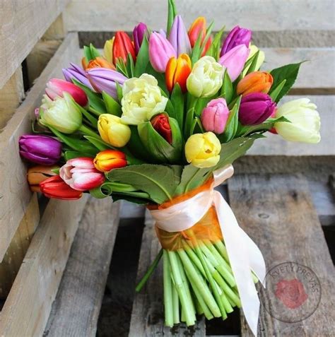 Tematické foto záhrady s kvitnúcimi narcismi a tulipánmi v kombinácii s inými jarnými kvetmi