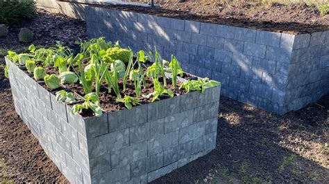 Nádoba s viacvrstvovou výsadbou cibuľovín v reze