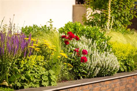 Záhon s kvitnúcimi okrasnými cesnakmi rôznych farieb