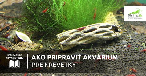 Akvárium s hustou vegetáciou a machmi ideálne pre Neocaridina krevety