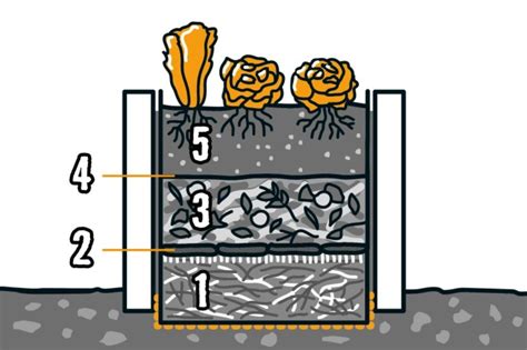 ilustrácia hydroponického systému s rastlinami