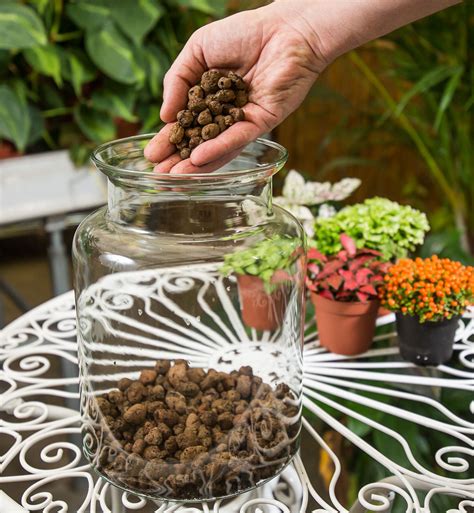 detail keramzitu ako hydroponického substrátu