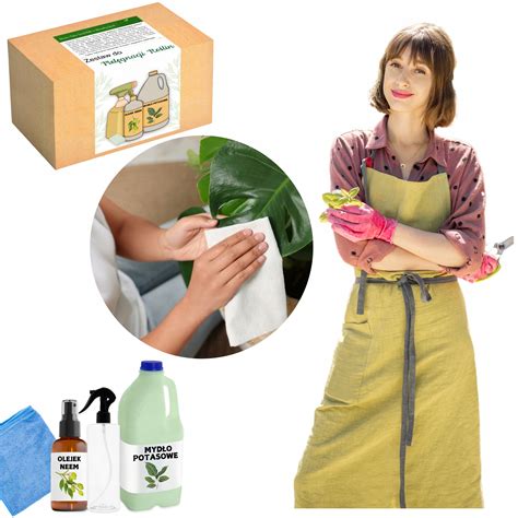 Ilustrácia rastliny smohly lekárskej s detailmi listov a kvetov.