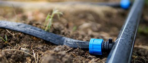 Fotografia znázorňujúca jednotlivé kroky inštalácie kvapkového zavlažovacieho systému