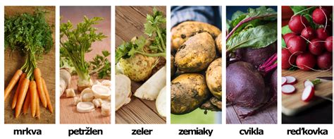 Schéma optimálneho rozmiestnenia a susedstva koreňovej zeleniny na záhone