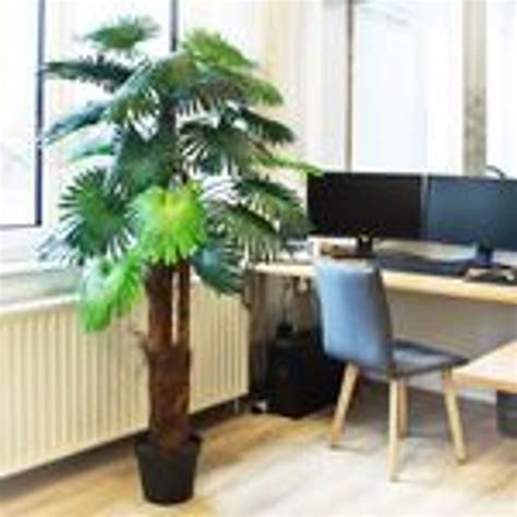 Dekoratívna izbová palma v modernom interiéri