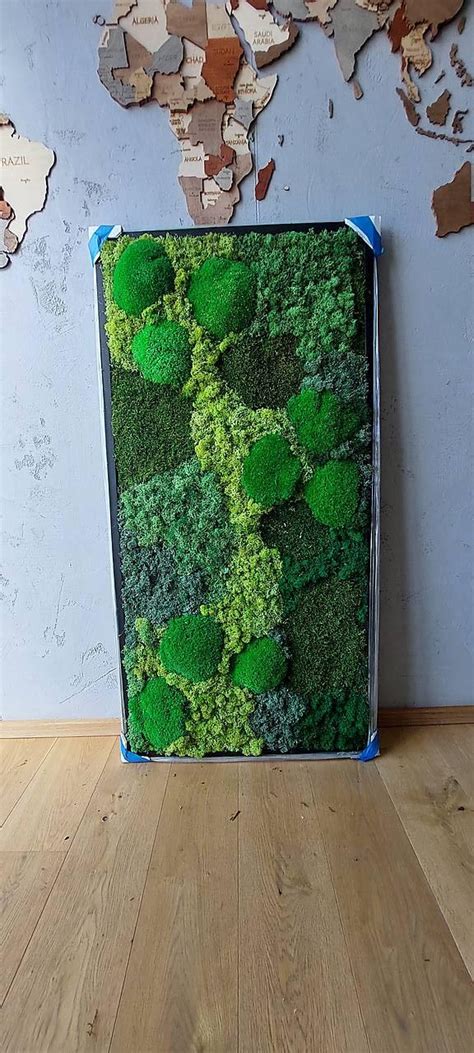 Koláž rôznych druhov machov s popisom